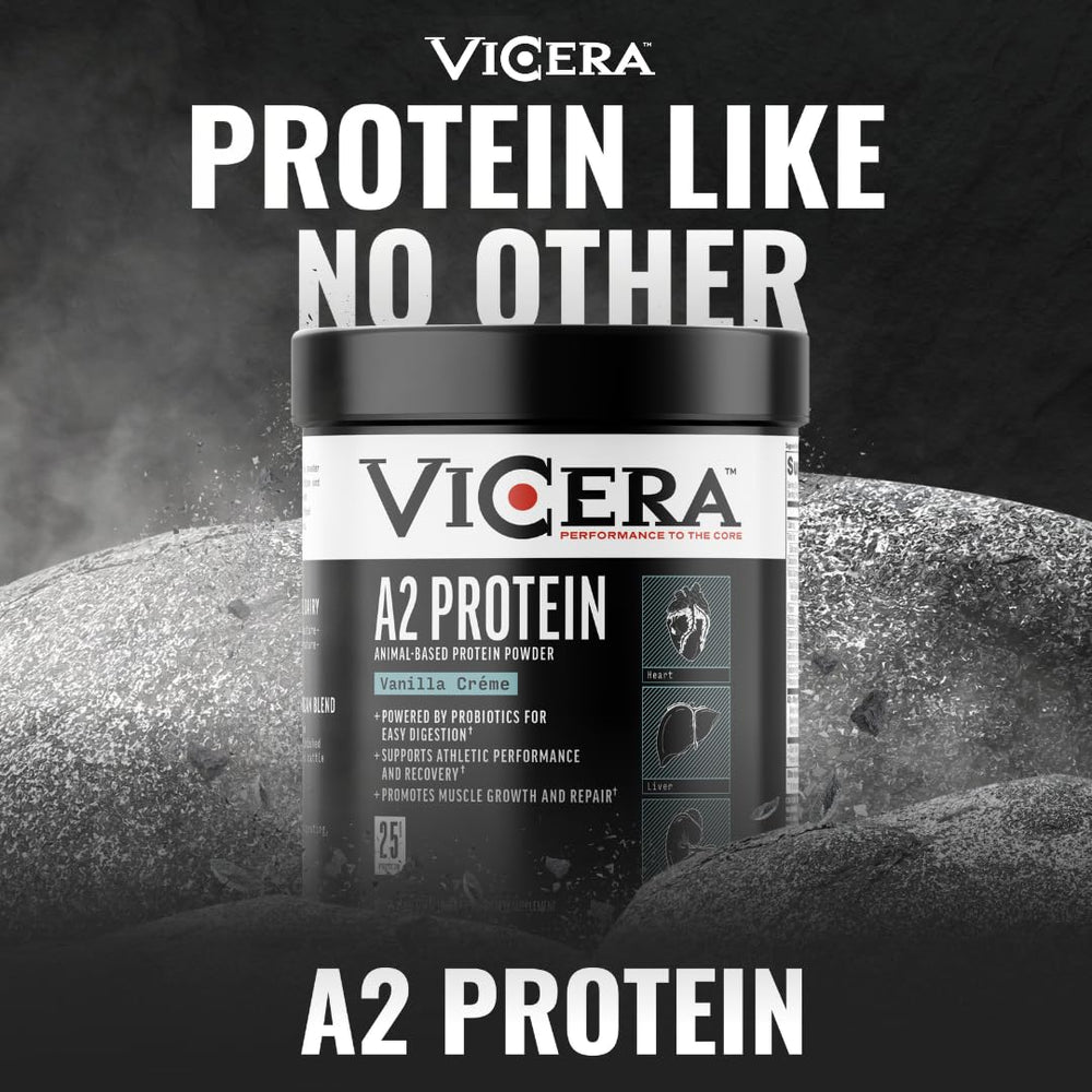 Vicera A2 Protein Powder Vanilla Creme in a baking setup with muffins.