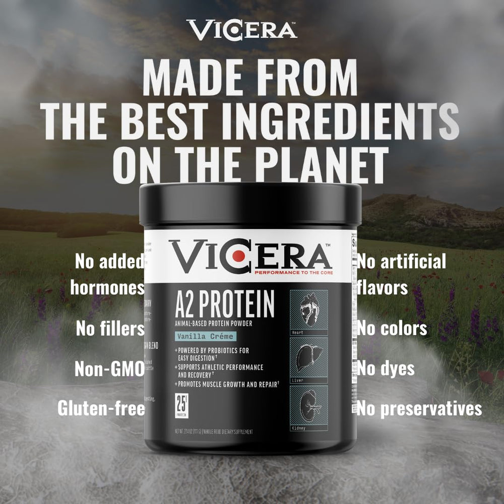 Vicera A2 Protein Powder Vanilla Creme on kitchen counter for oats and baking.