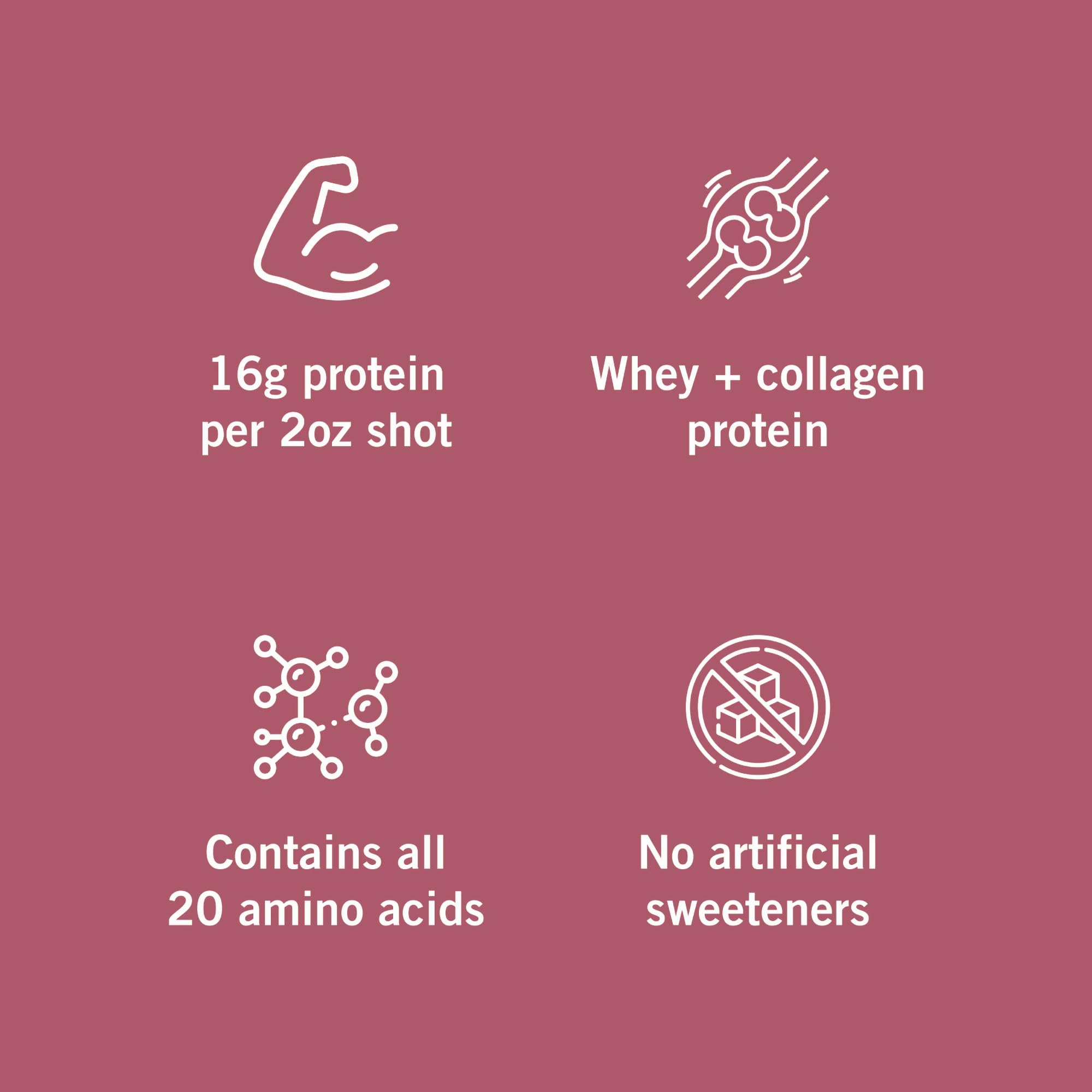 Vidafuel twenty amino acids illustration highlights diverse nutrients