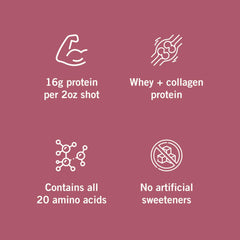 Vidafuel twenty amino acids illustration highlights diverse nutrients