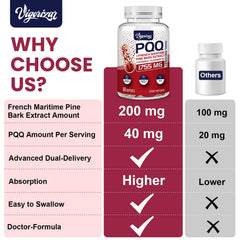 Vigorizar Pycnogenol packaging highlights premium pine bark extract.