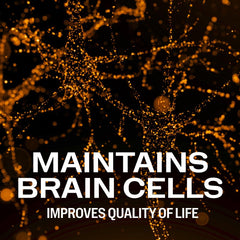 Cognizin Citicoline close-up signals brain health support.