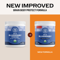 Vimergy Brain Body Protect whole-fruit blueberry powder stirred into smoothie for brain health