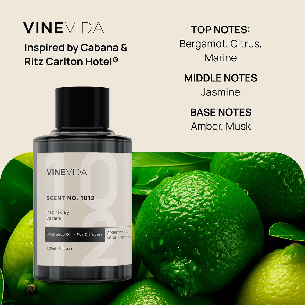 VINEVIDA hotel fragrance collection flat lay showing an elegant bottle lineup.