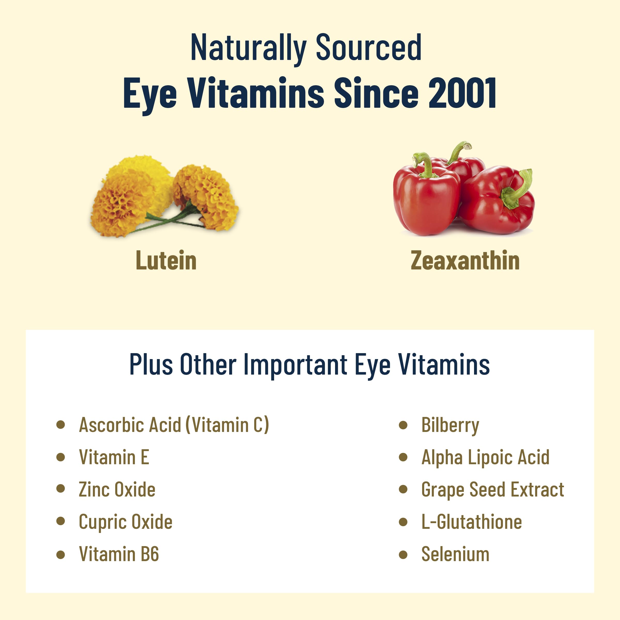 VisiVite bilberry extract highlights natural antioxidant support