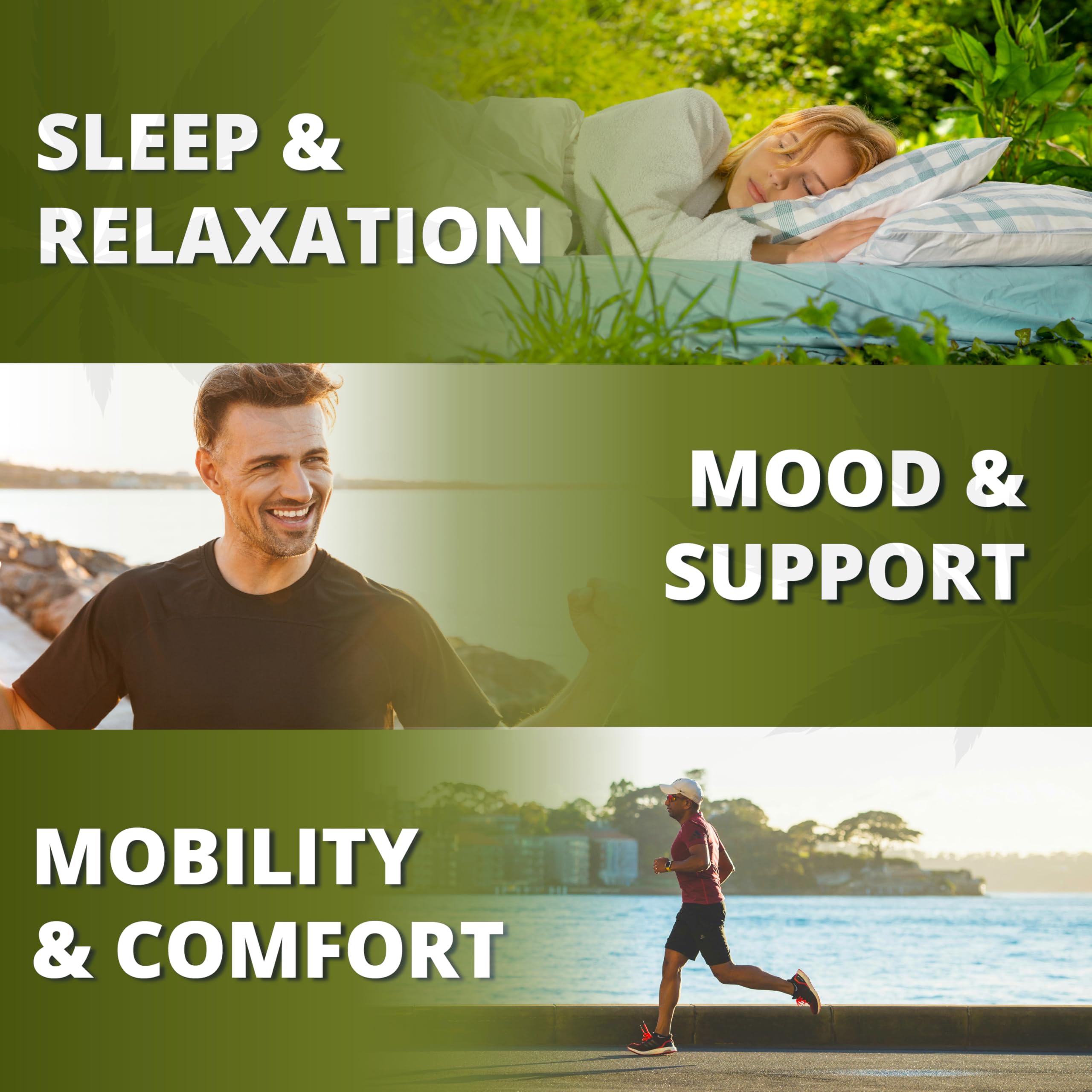 Eco-friendly packaging close-up of VitaGrade Hemp Gummies