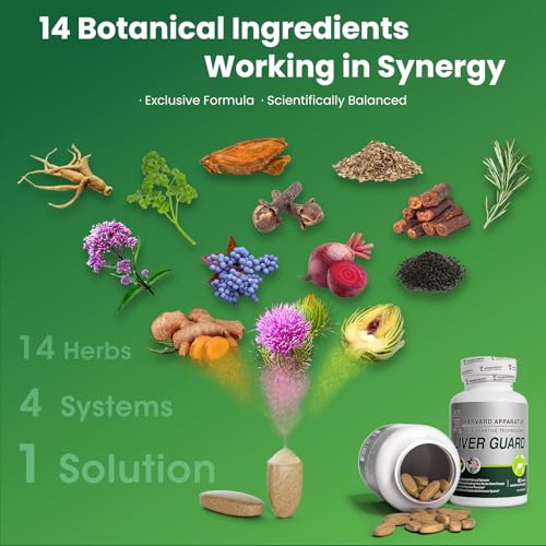 VITAJOURNEY milk thistle ingredient close-up highlighting liver wellness support.