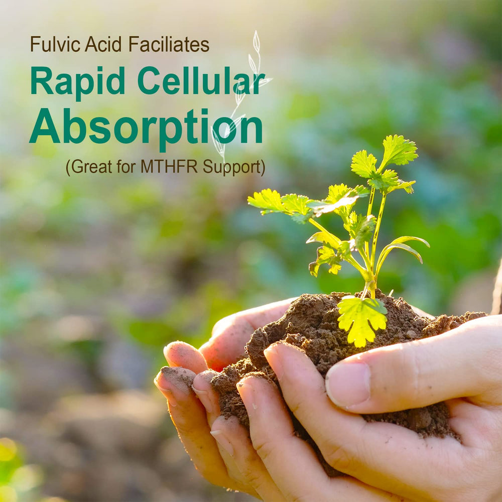 Vital Earth Minerals label shows plant-based folate and B vitamins for MTHFR support.