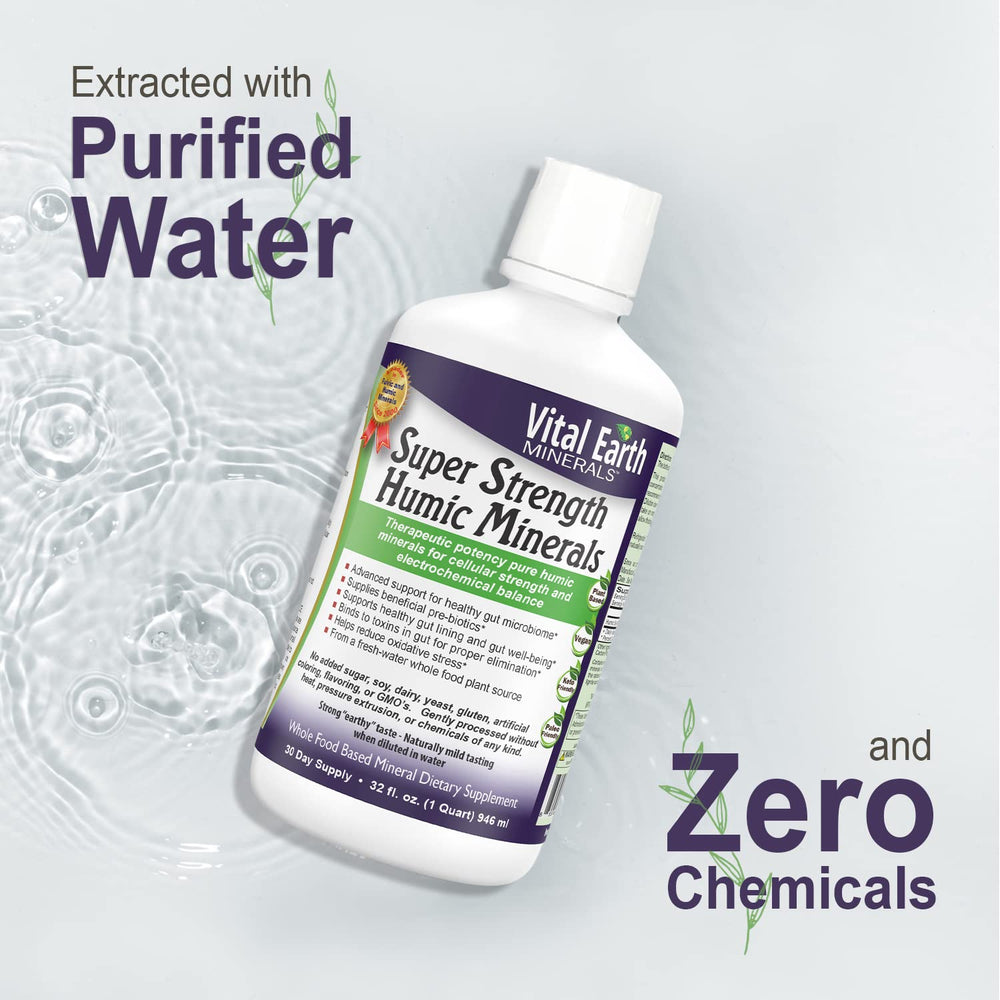 Vital Earth Minerals ionic minerals diagram emphasizes trace minerals and electrolytes.