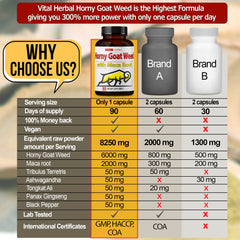 Vital Herbal energy-boost routine image shows capsules with breakfast.