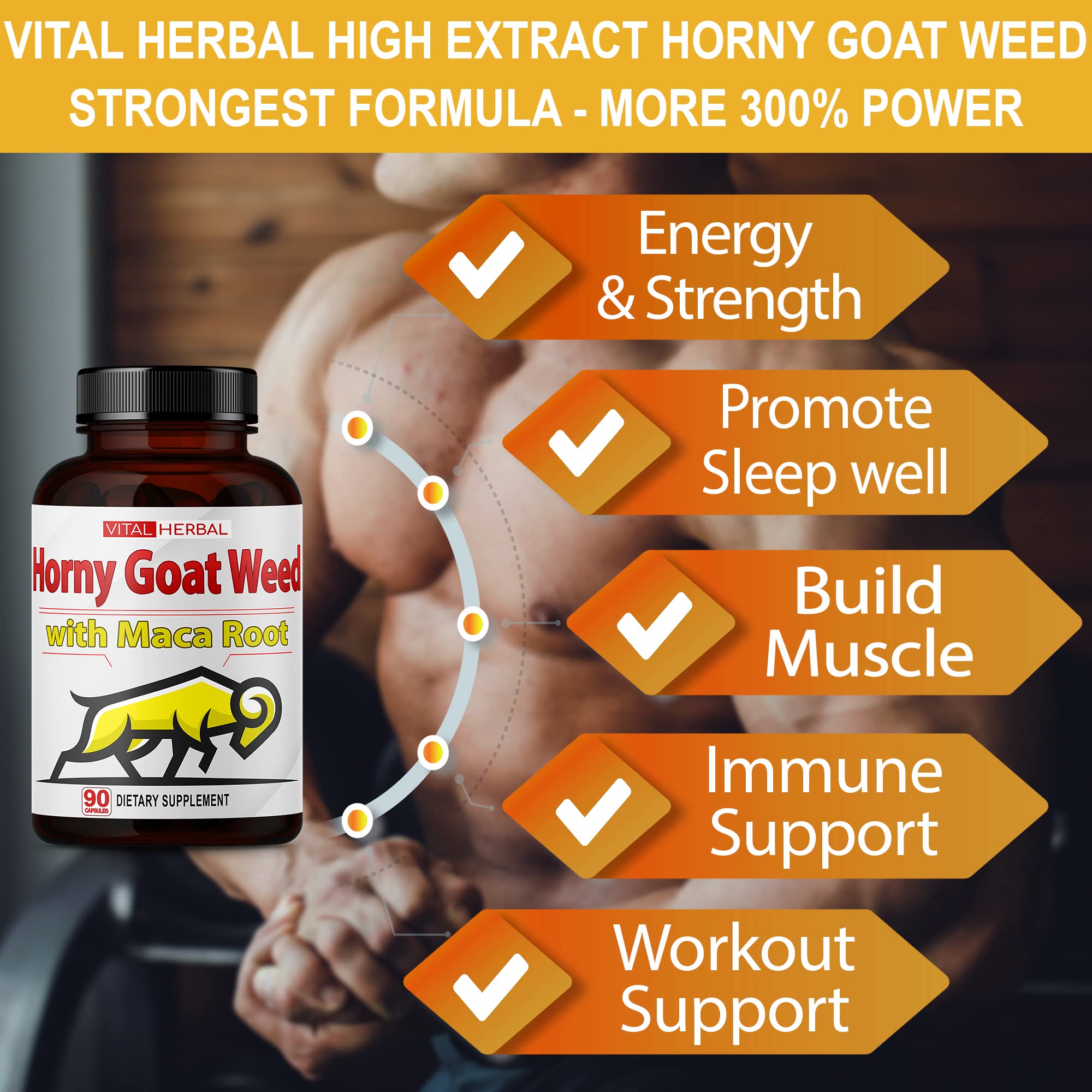 Vital Herbal Panax Ginseng blend capsules highlight traditional roots for focus.