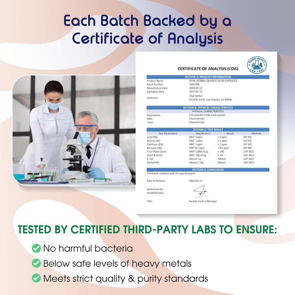 Vital Herbal Quercetin 98% used during workouts for steady energy and daily vitality.