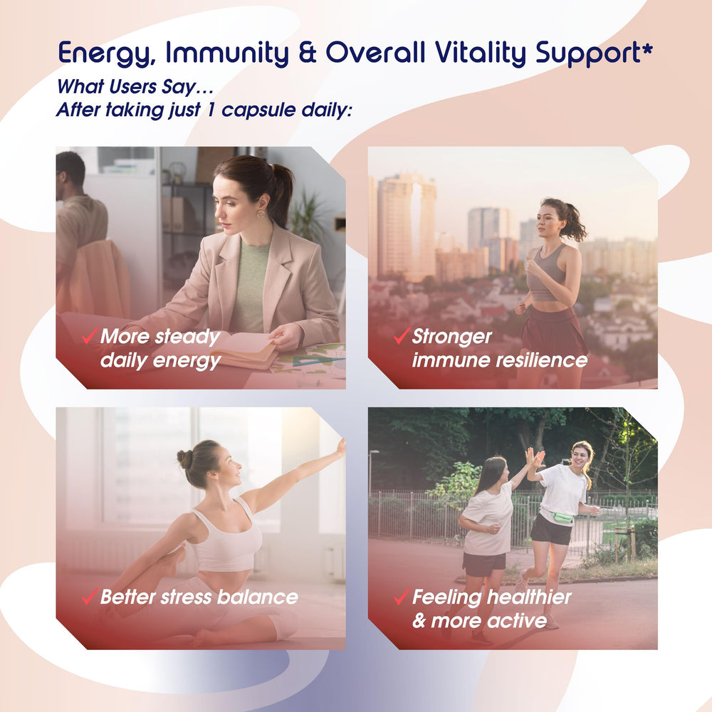 Vital Herbal Quercetin 98% zinc and bromelain diagram showing absorption optimization.