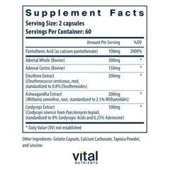 Vital Nutrients Adrenal Support capsules close-up, easy-to-swallow format for daily use.