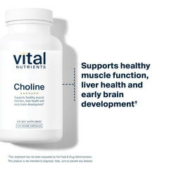 Vital Nutrients Choline 550mg capsules on white surface for daily wellness.