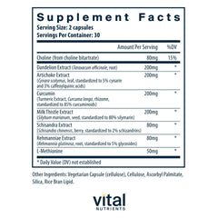 Vital Nutrients Liver Support ingredients chart highlighting key botanicals.