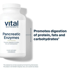 Vital Nutrients pancreatic enzymes capsules being swallowed for daily digestion