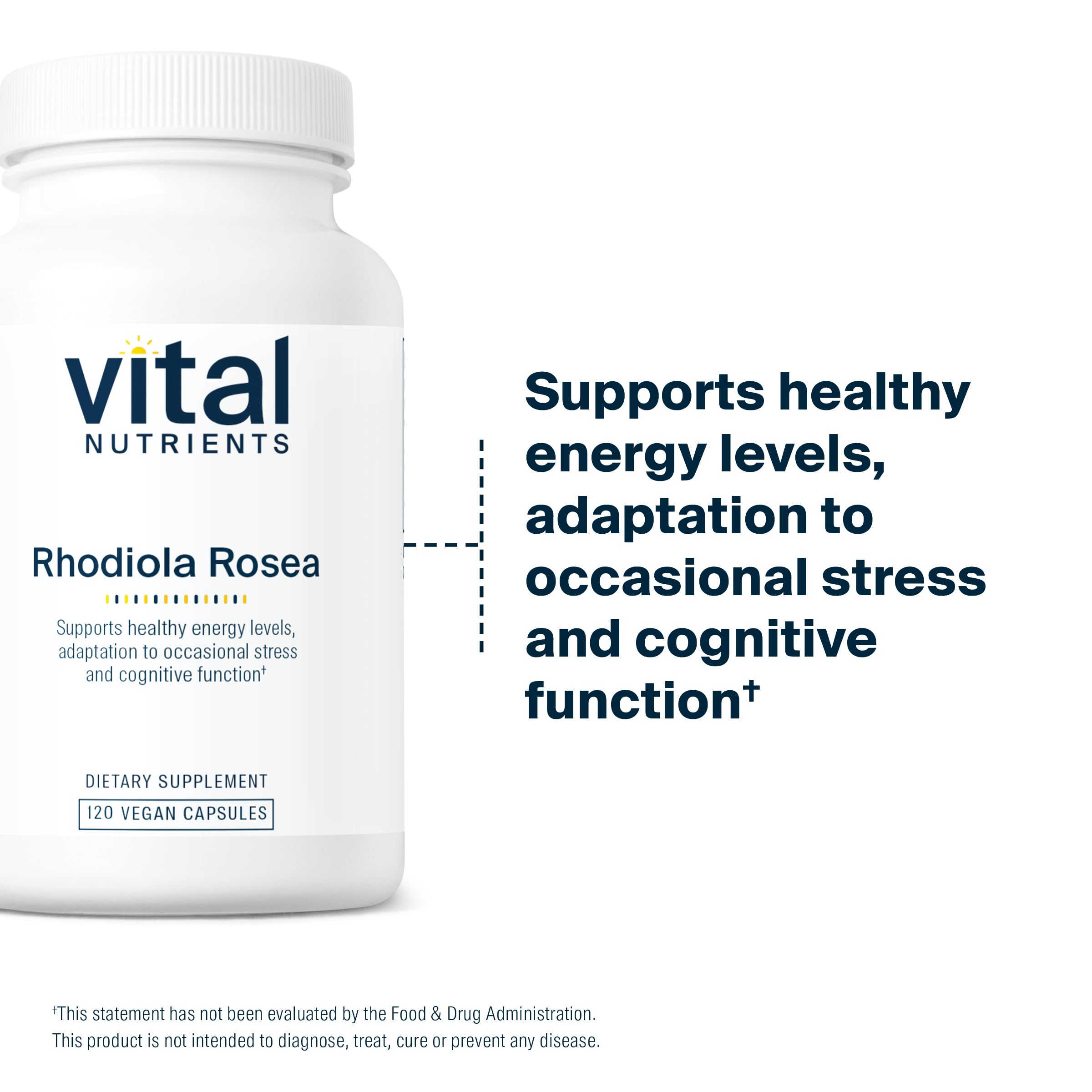 Vital Nutrients Rhodiola Rosea bottle used in a daytime routine