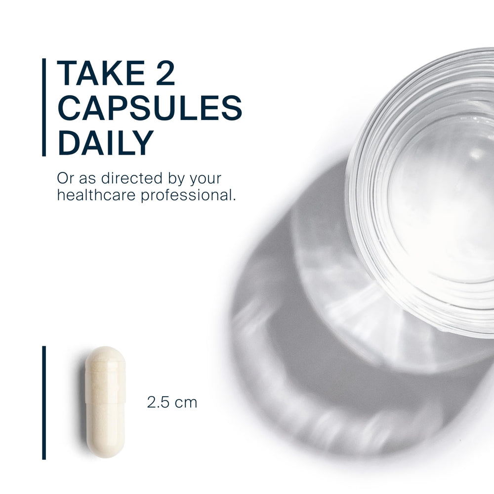 Vital Nutrients Schisandra Extract capsules for daily use and endurance