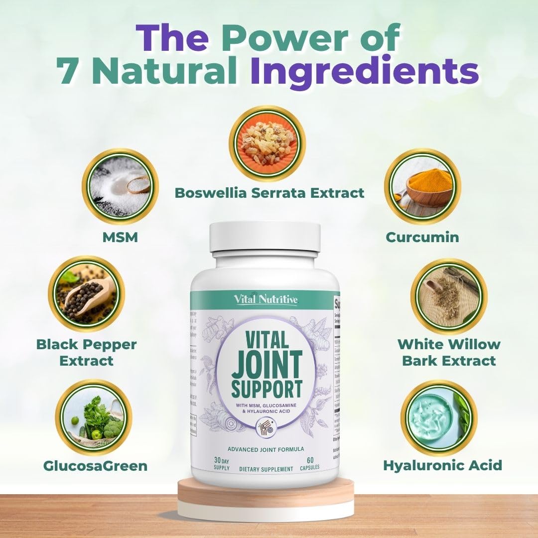 VITAL NUTRITIVE capsules aligned for a consistent daily routine