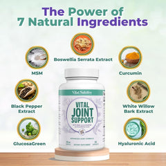 VITAL NUTRITIVE capsules aligned for a consistent daily routine