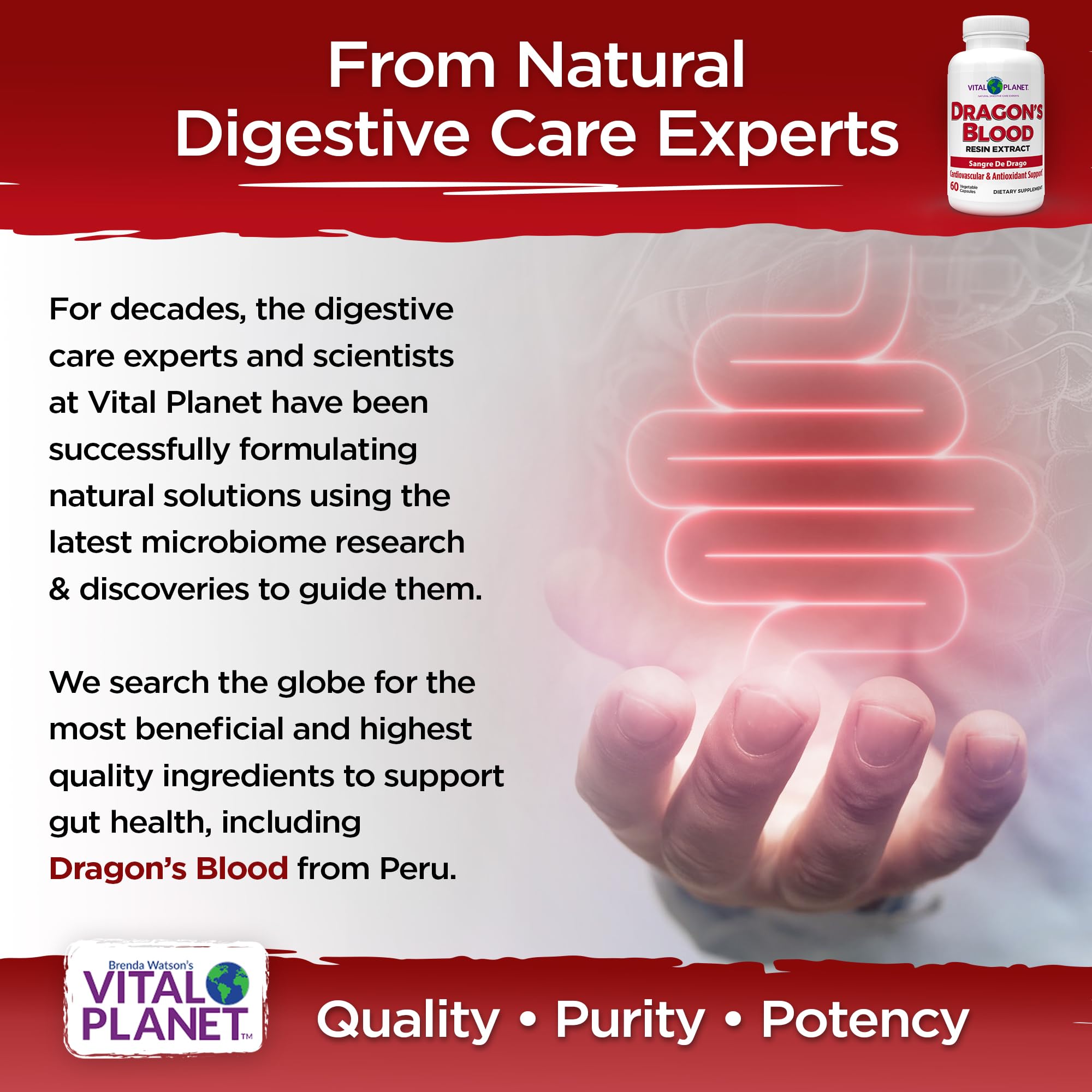 Label close-up confirms vegan, non-GMO Dragon's Blood capsules
