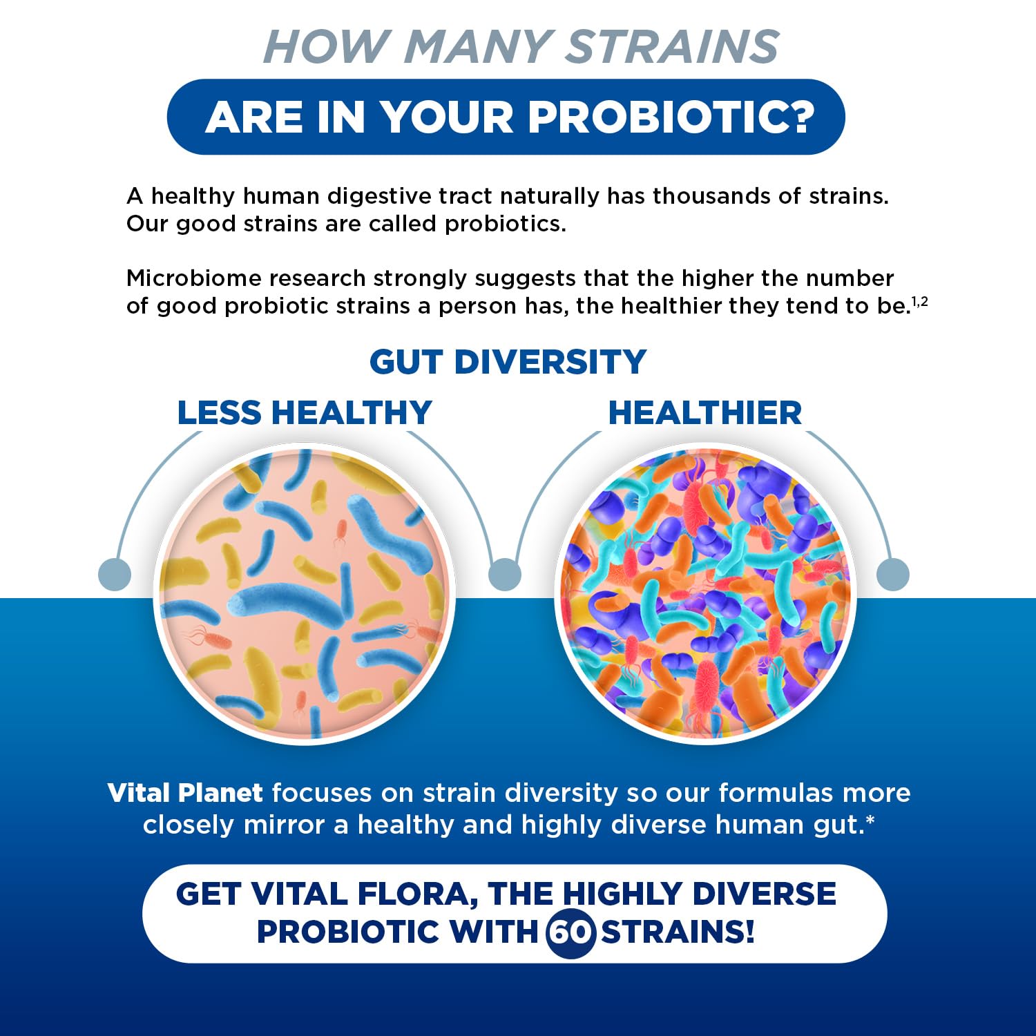 Vital Planet Vital Flora probiotic scene showing shelf-stable and daily use setup