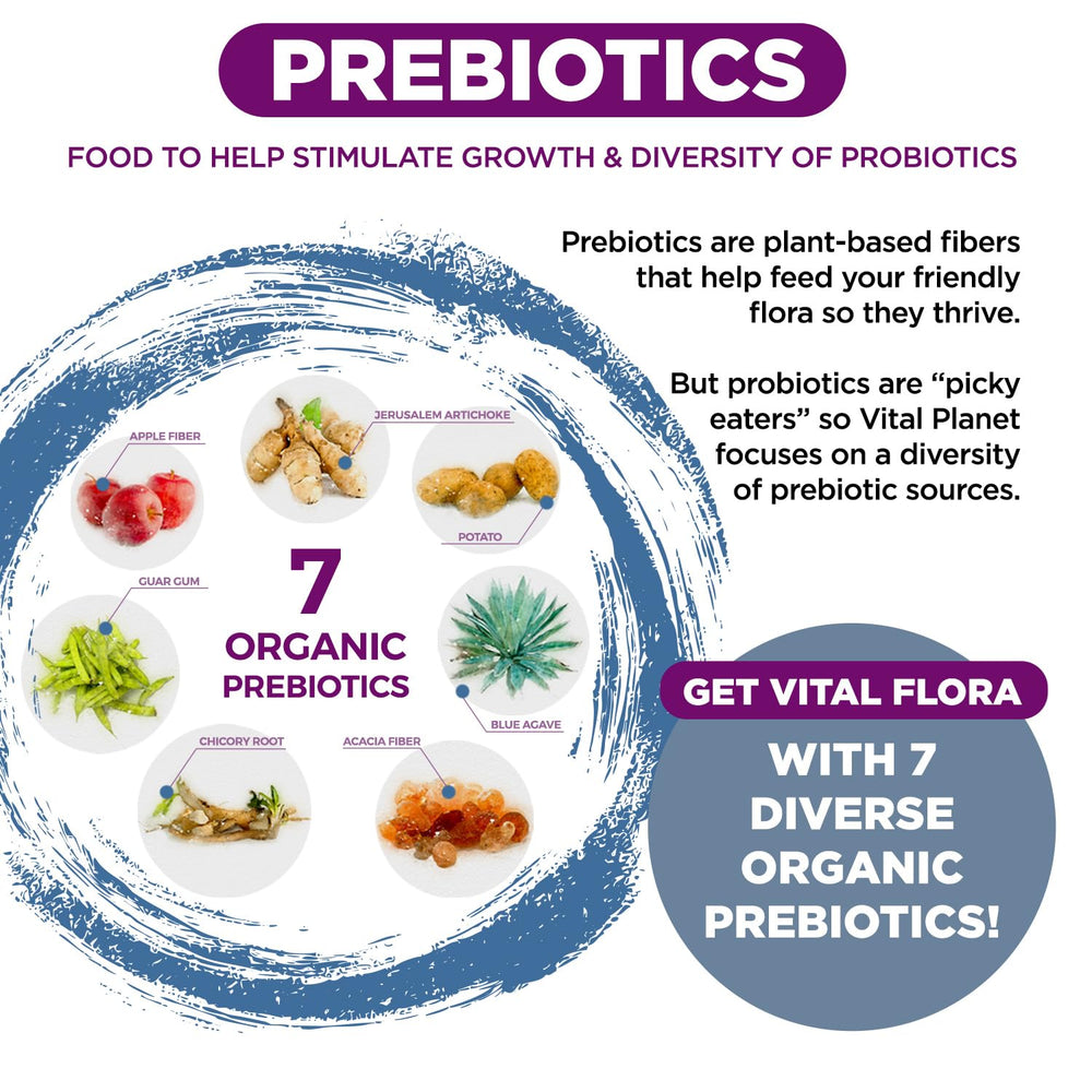 Vital Planet Vital Flora organic prebiotics blend feeding probiotics for sustained gut support