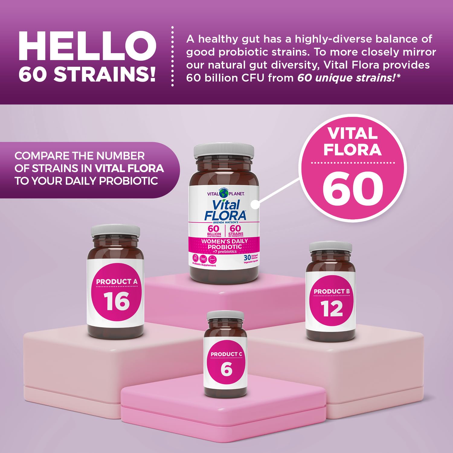 Vital Flora Organic prebiotics blend image emphasizing plant fibers feeding probiotics.