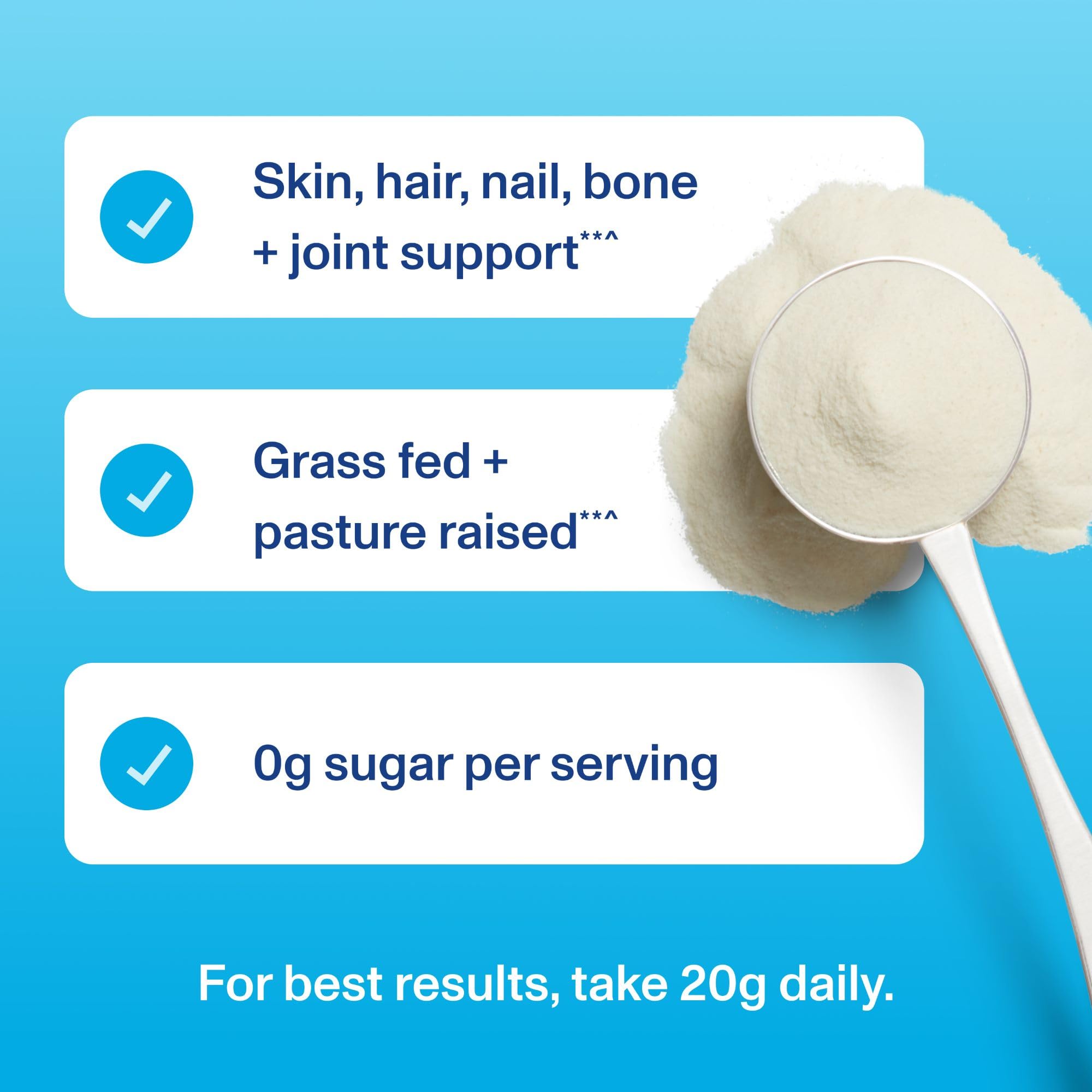 Vital Proteins collagen peptides on kitchen counter, supports everyday routines.