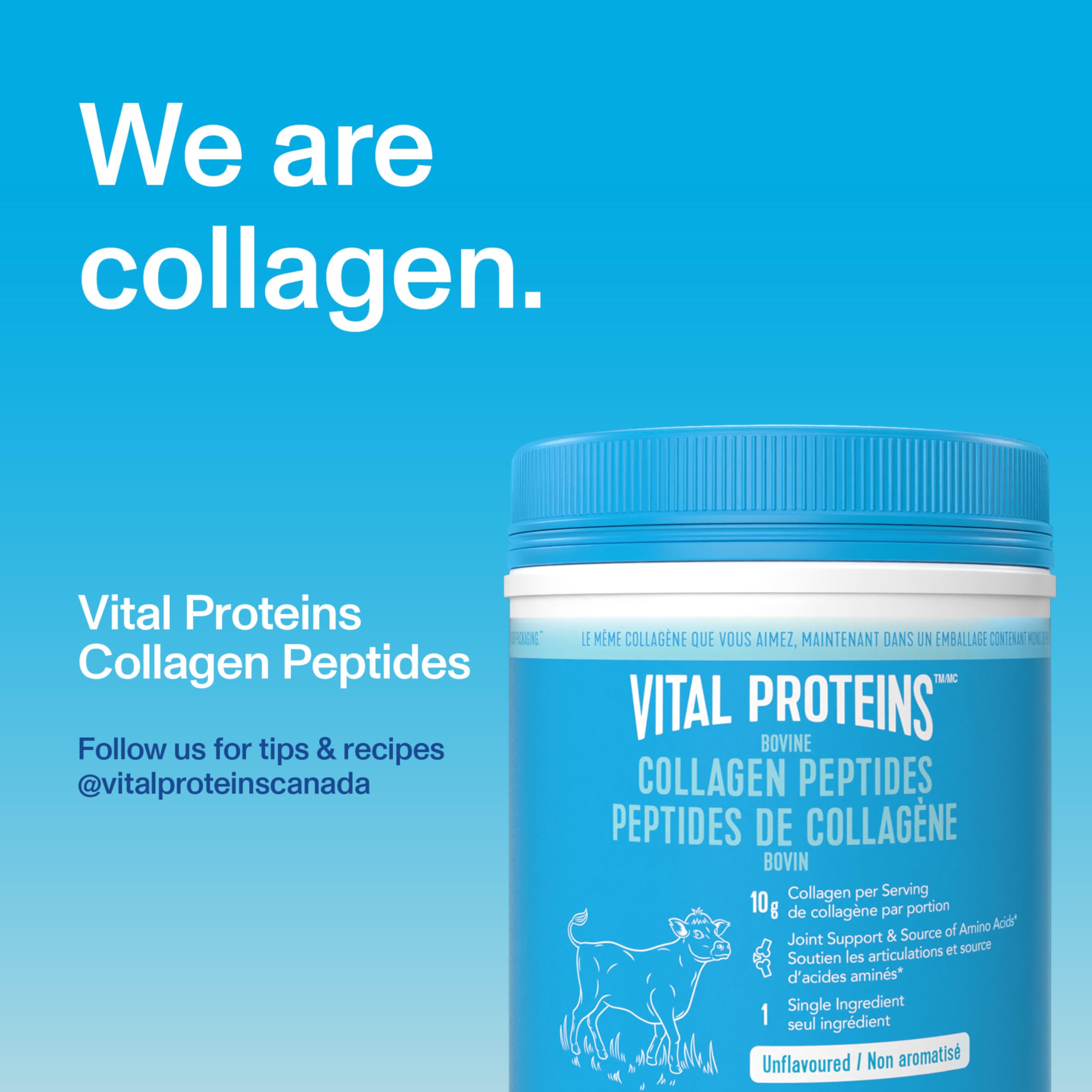 Vital Proteins unflavoured collagen peptides in coffee demonstrates seamless blending