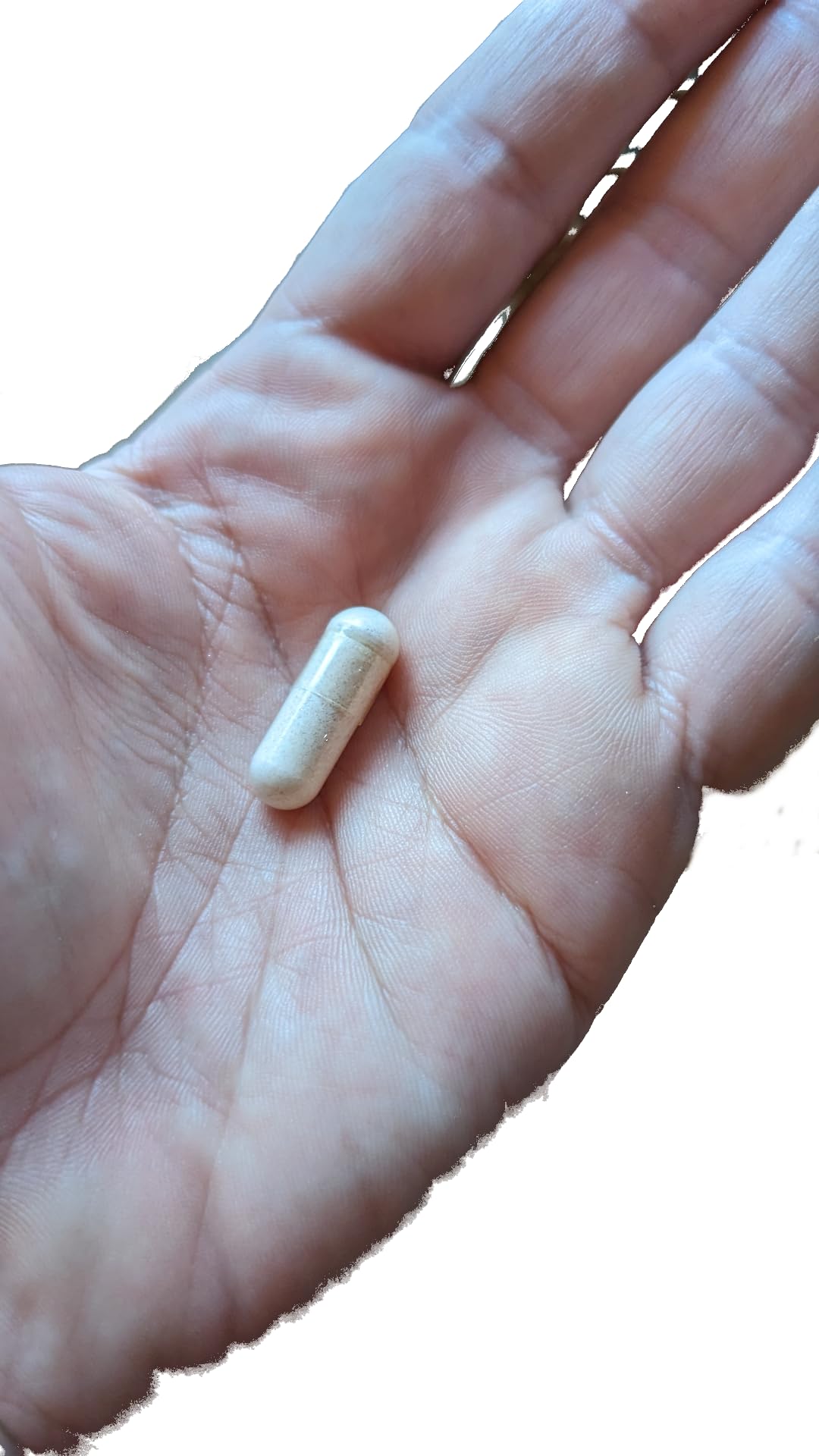 Vitalité Now Capsule bottle on desk ready for daily wellness routine