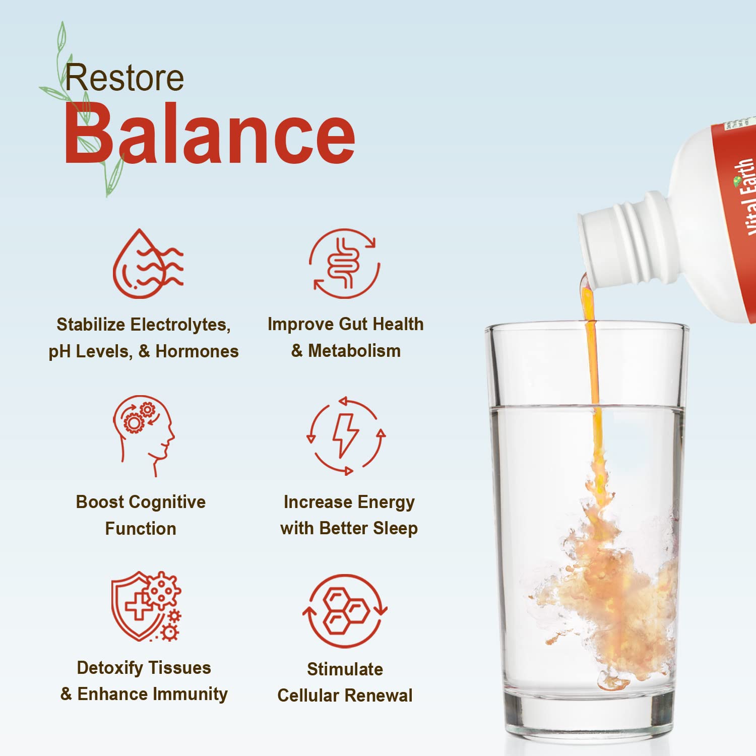 Plant-based humic source depiction for natural, chemical-free extraction behind Vital Earth Minerals.