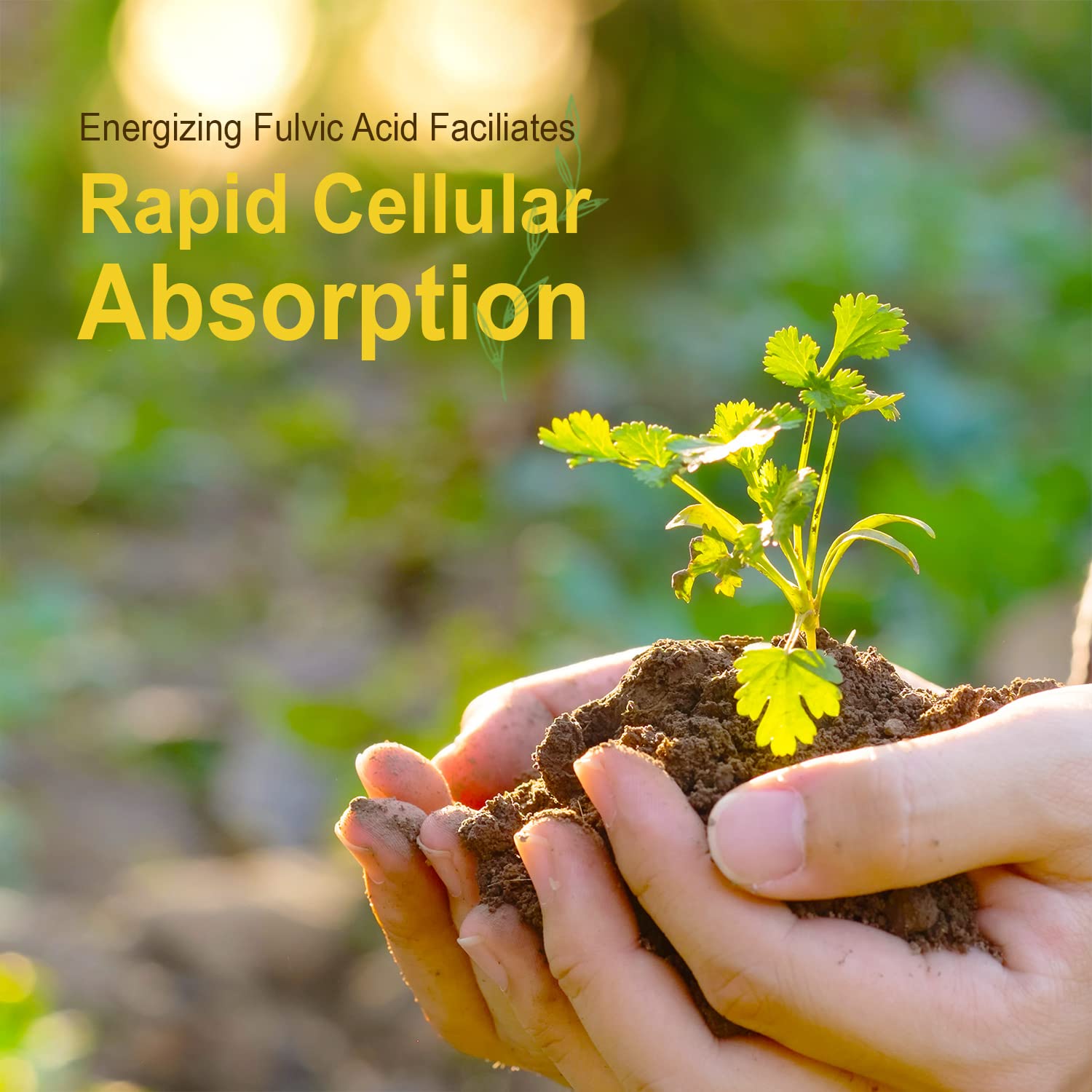 Pour-out moment showing non-chlorinated water mixed with meals using Cal-Mag Liquid.