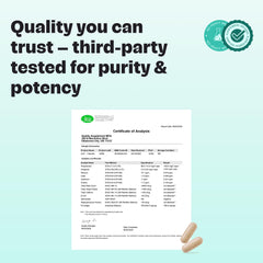 VitalForm GLP-1 Metabolic Support capsules offer consistent energy and cravings management.