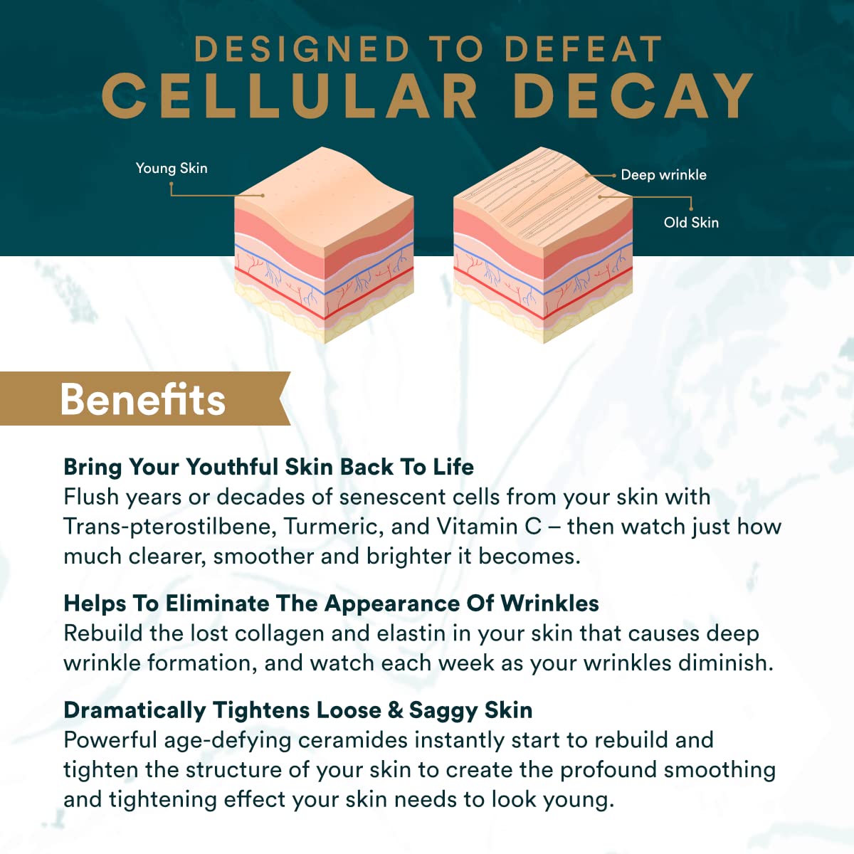 Vitalifi ReActivate daily-use setup shown for morning or evening rituals