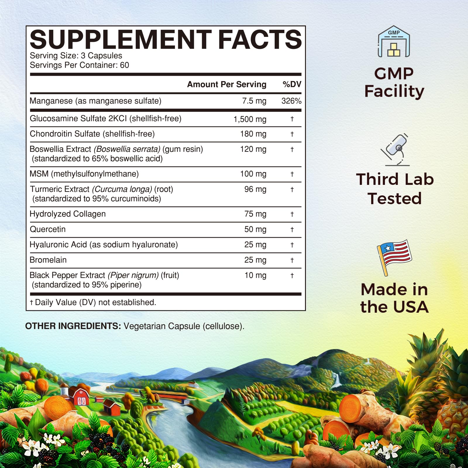 Vitalitown glucosamine chondroitin MSM blend label close-up for joint support.