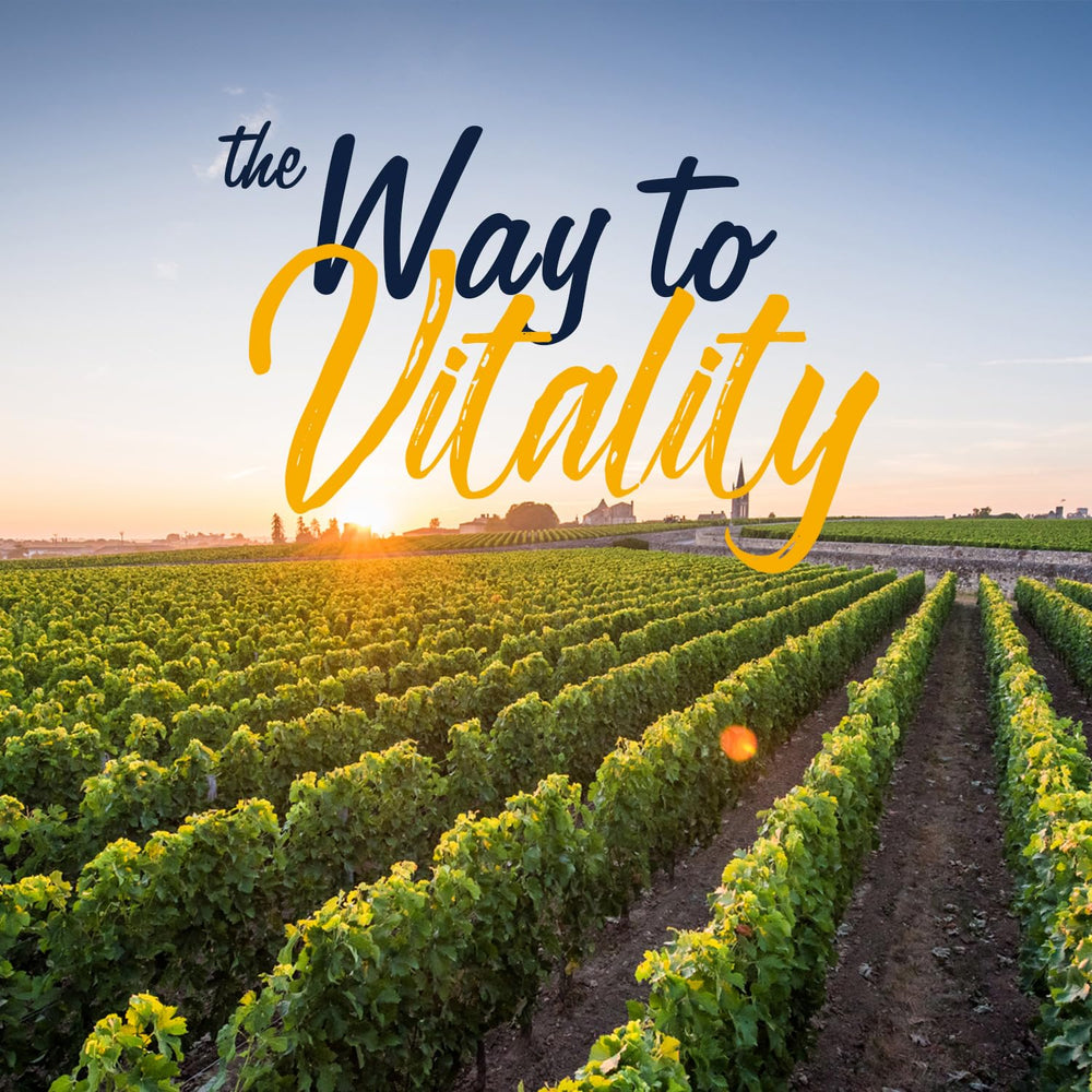 Vitalitown Iron Complex packaging nutrition facts panel highlights nutrients