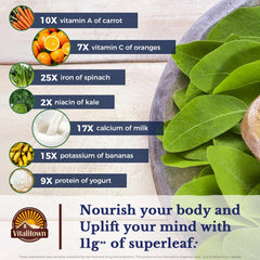 Vitalitown Moringa extract 50:1 close-up indicating high potency for easier daily use.