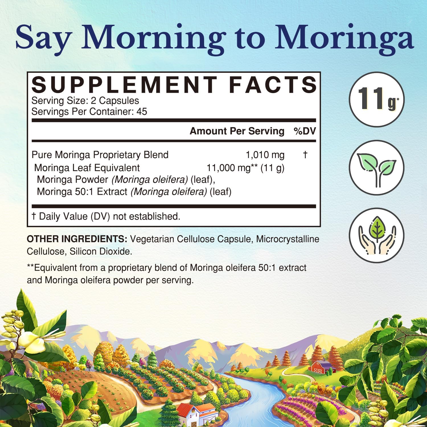 Vitalitown Moringa leaves close-up showing vibrant greens and nutrient-dense plant source.