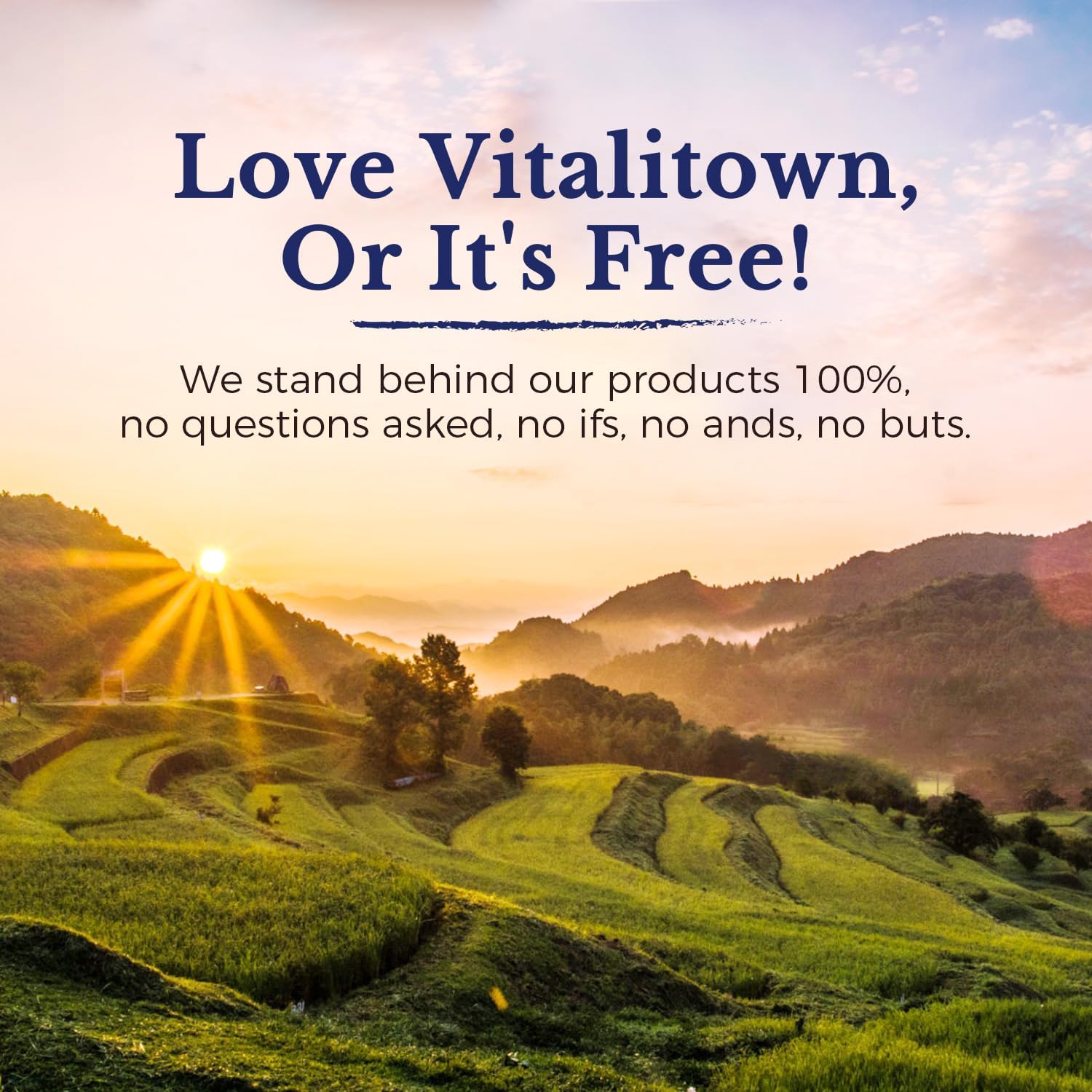 Quality guarantee badge on Vitalitown Moringa packaging