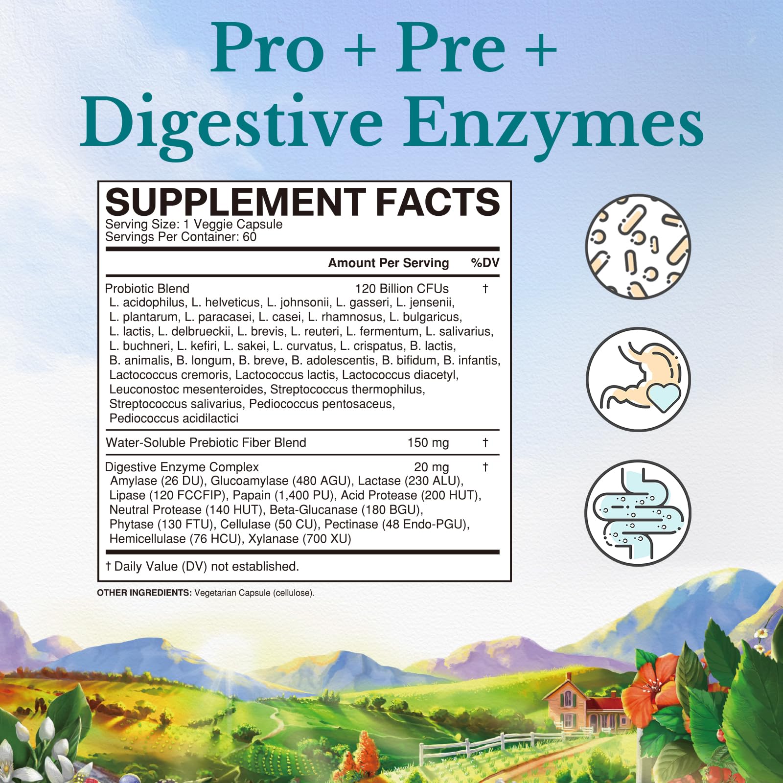 Vitalitown Probiotics capsules – close-up reveals 36 strains for diverse gut support
