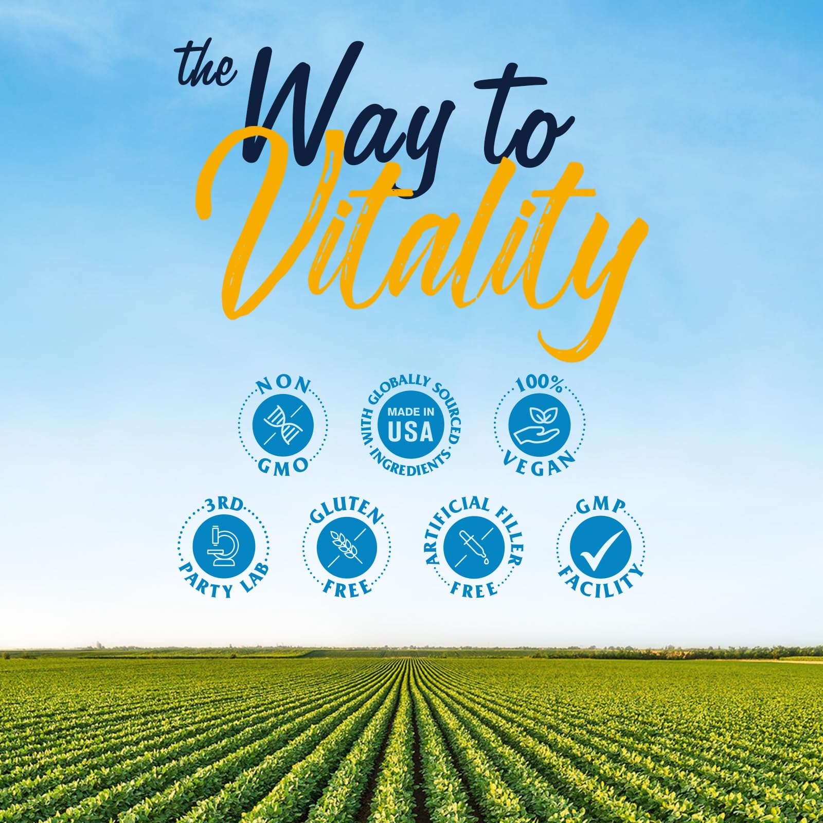 Vitalitown Probiotics plant-based prebiotics fiber highlight for balanced gut flora