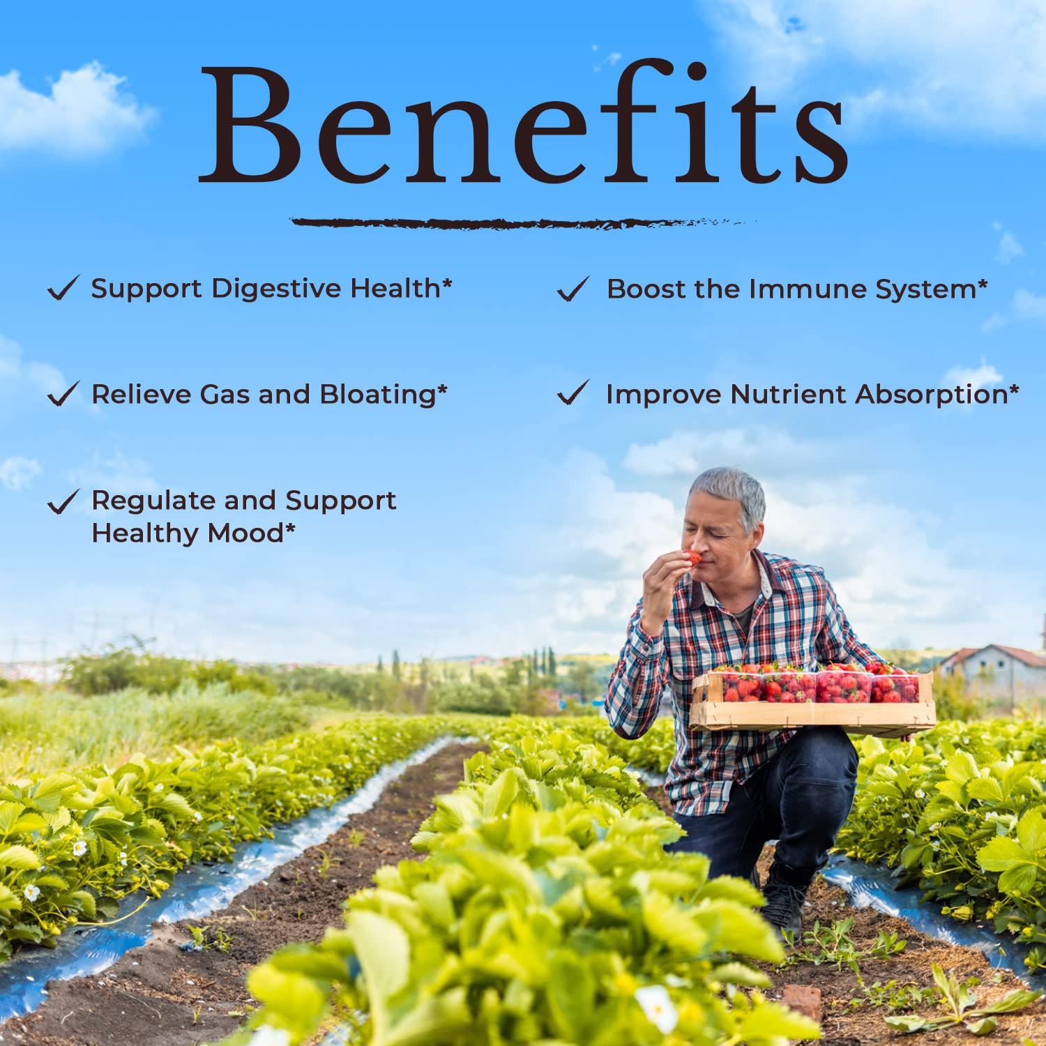 Shelf-stable bottle design keeps probiotics fresh without refrigeration.