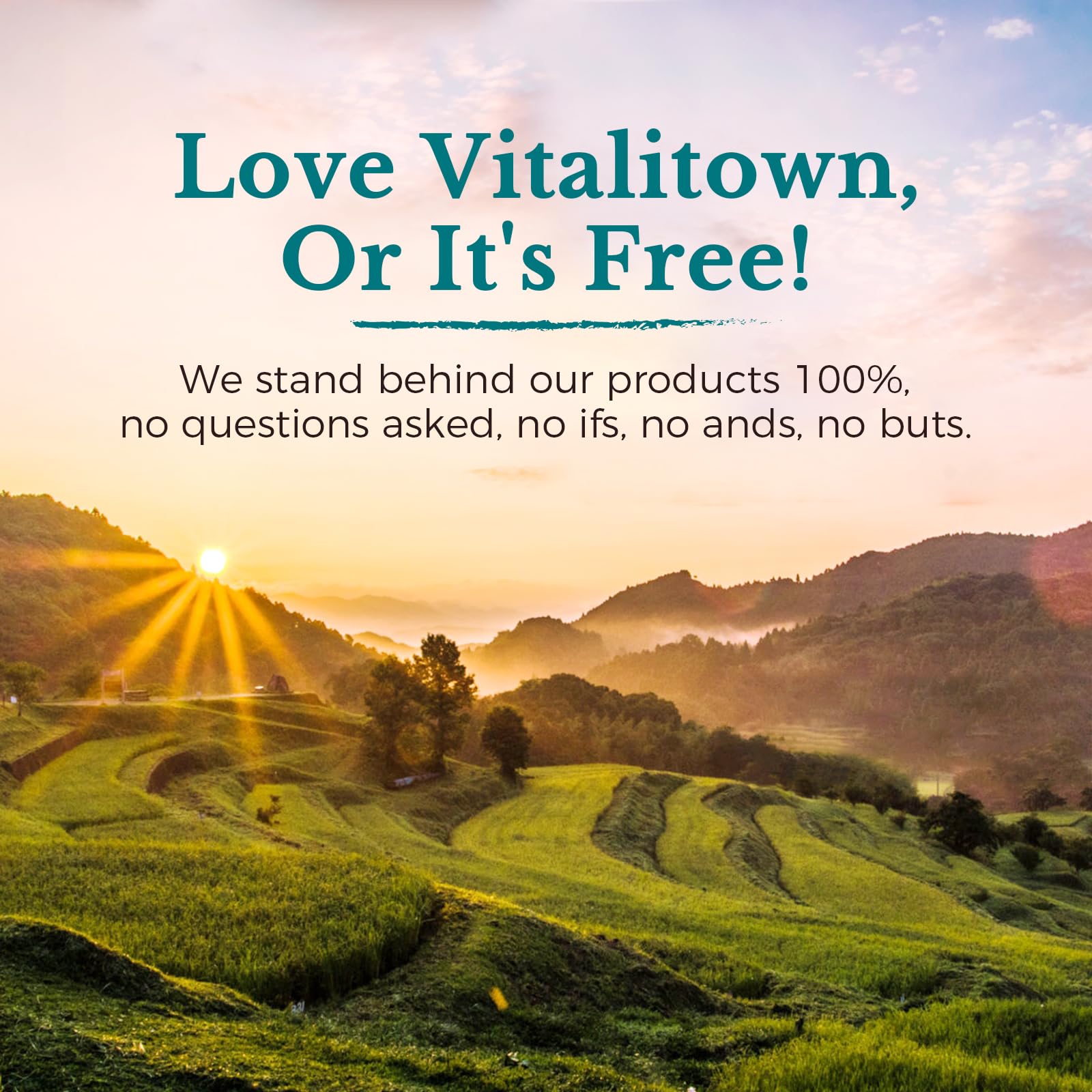Vitalitown travel-friendly pack – compact probiotic solution for on-the-go