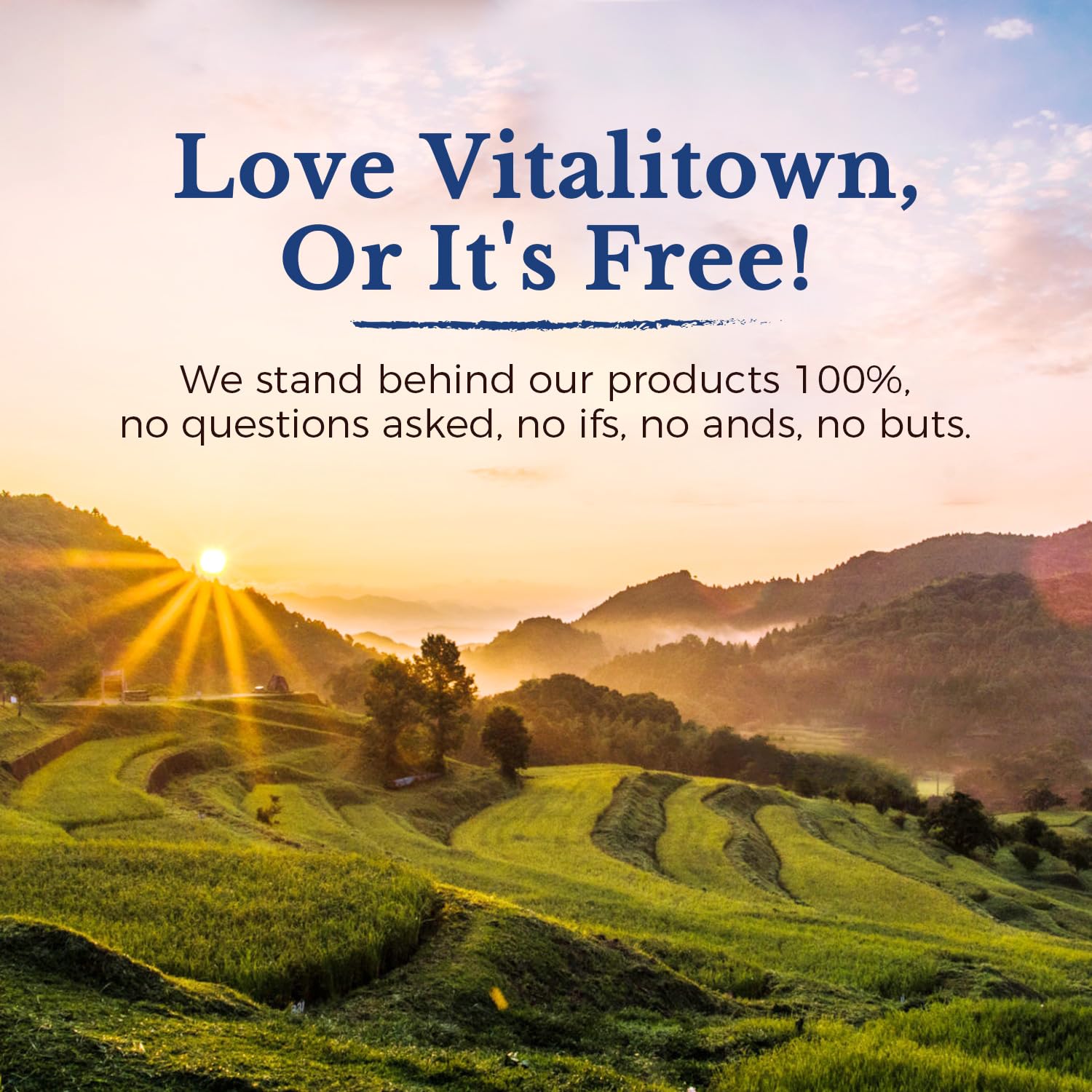 Made in the USA Vitalitown Probiotics with third-party testing label