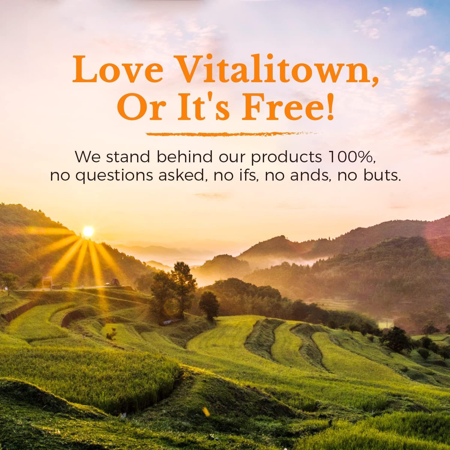 Vitalitown Vitamin C 1000mg immune support concept illustration.