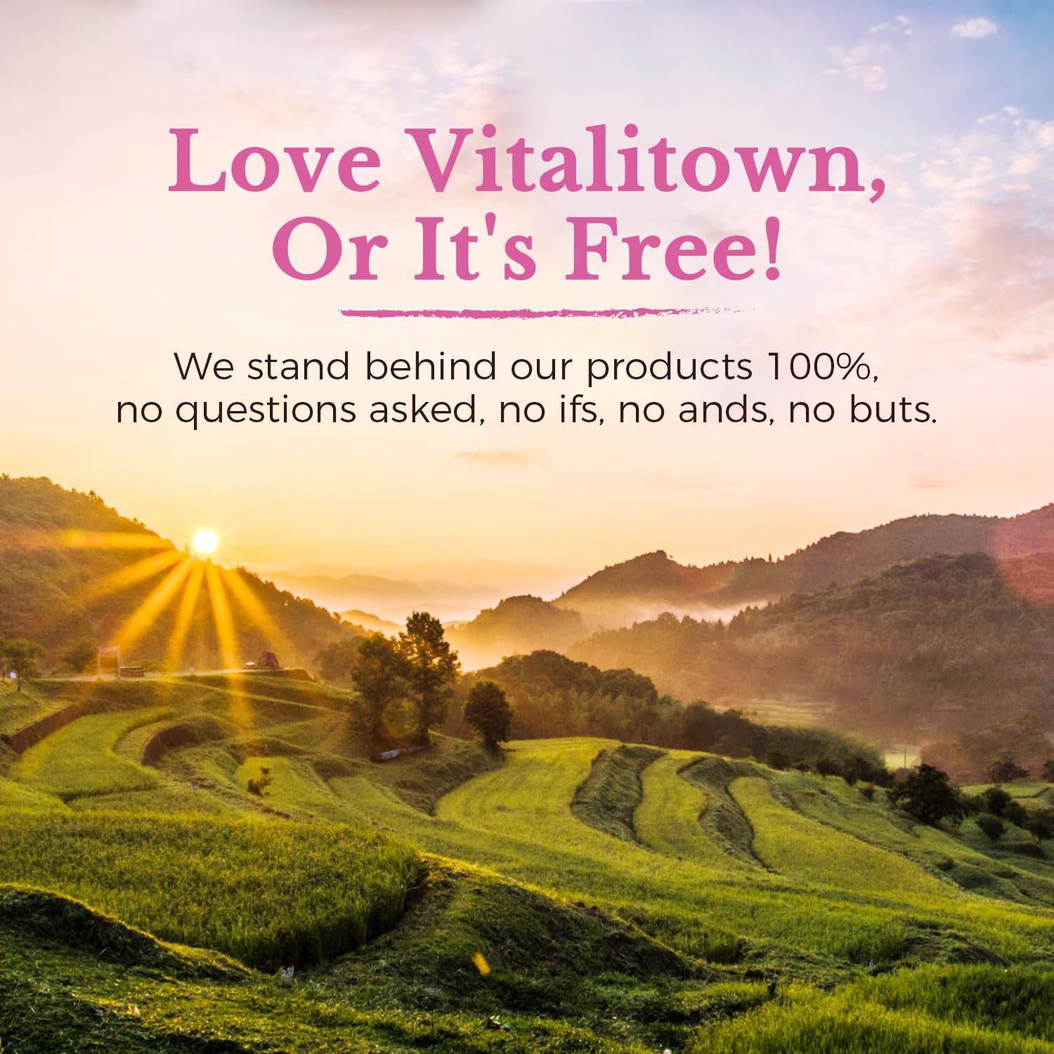 Vitalitown Made in USA label indicates third-party tested purity