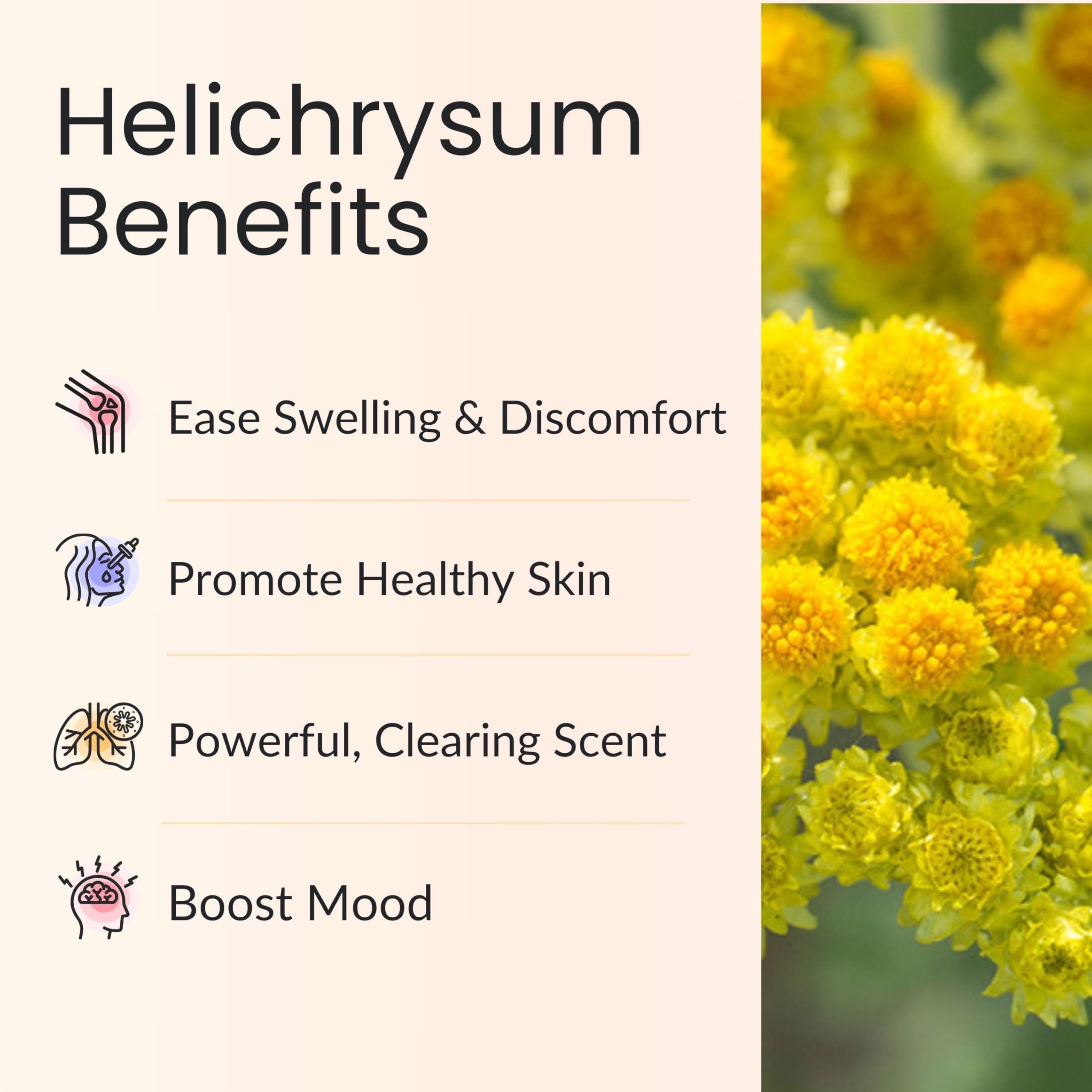Vitality Helichrysum coconut oil base highlights skin-friendly formulation