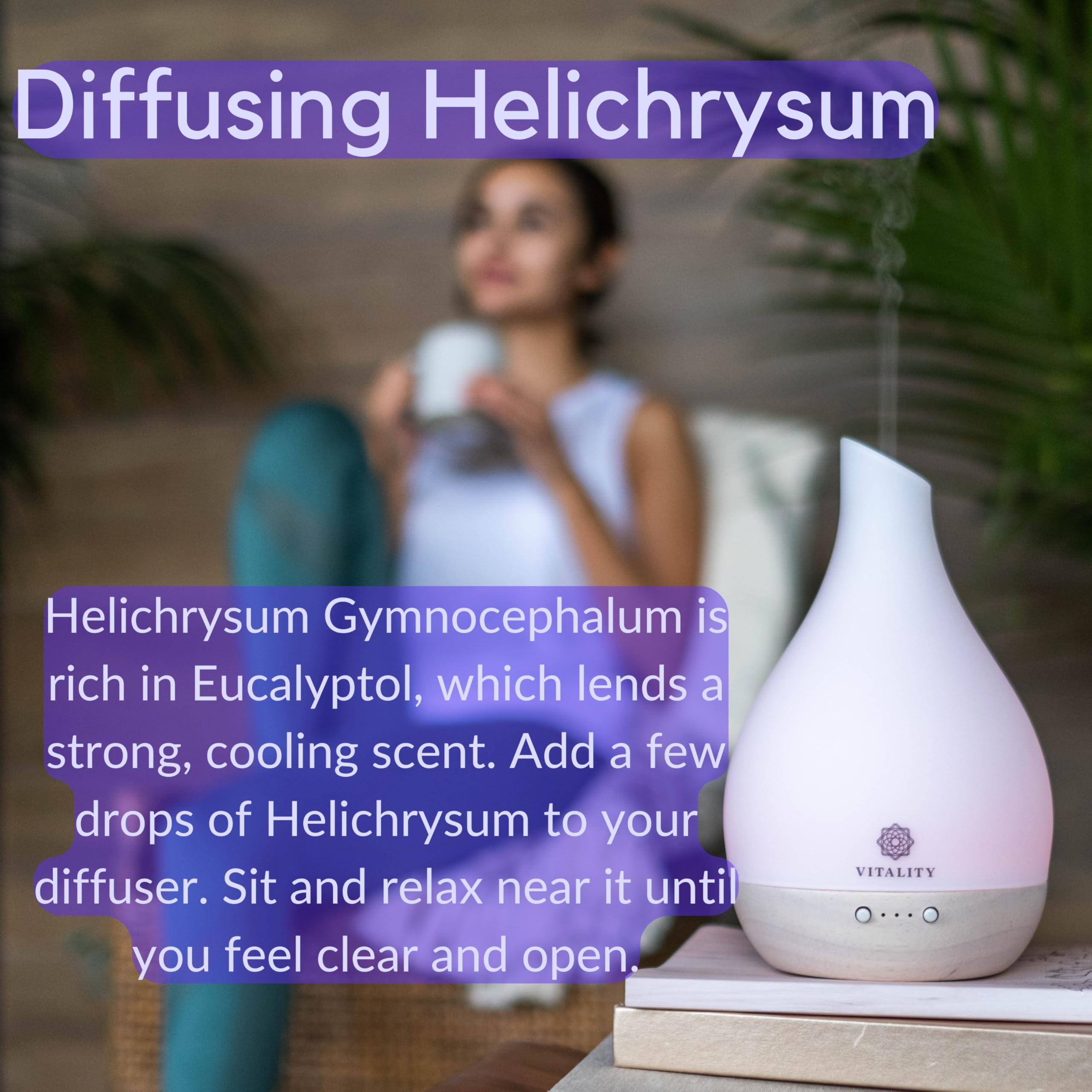 Vitality Helichrysum packaging box ready for gifting.